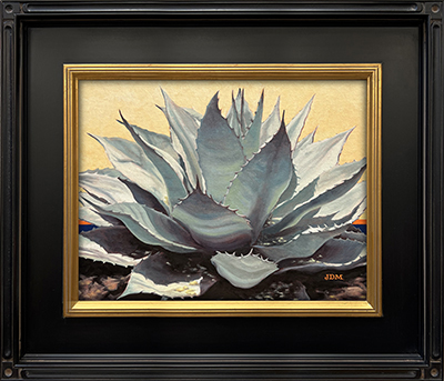 Agave in Cream